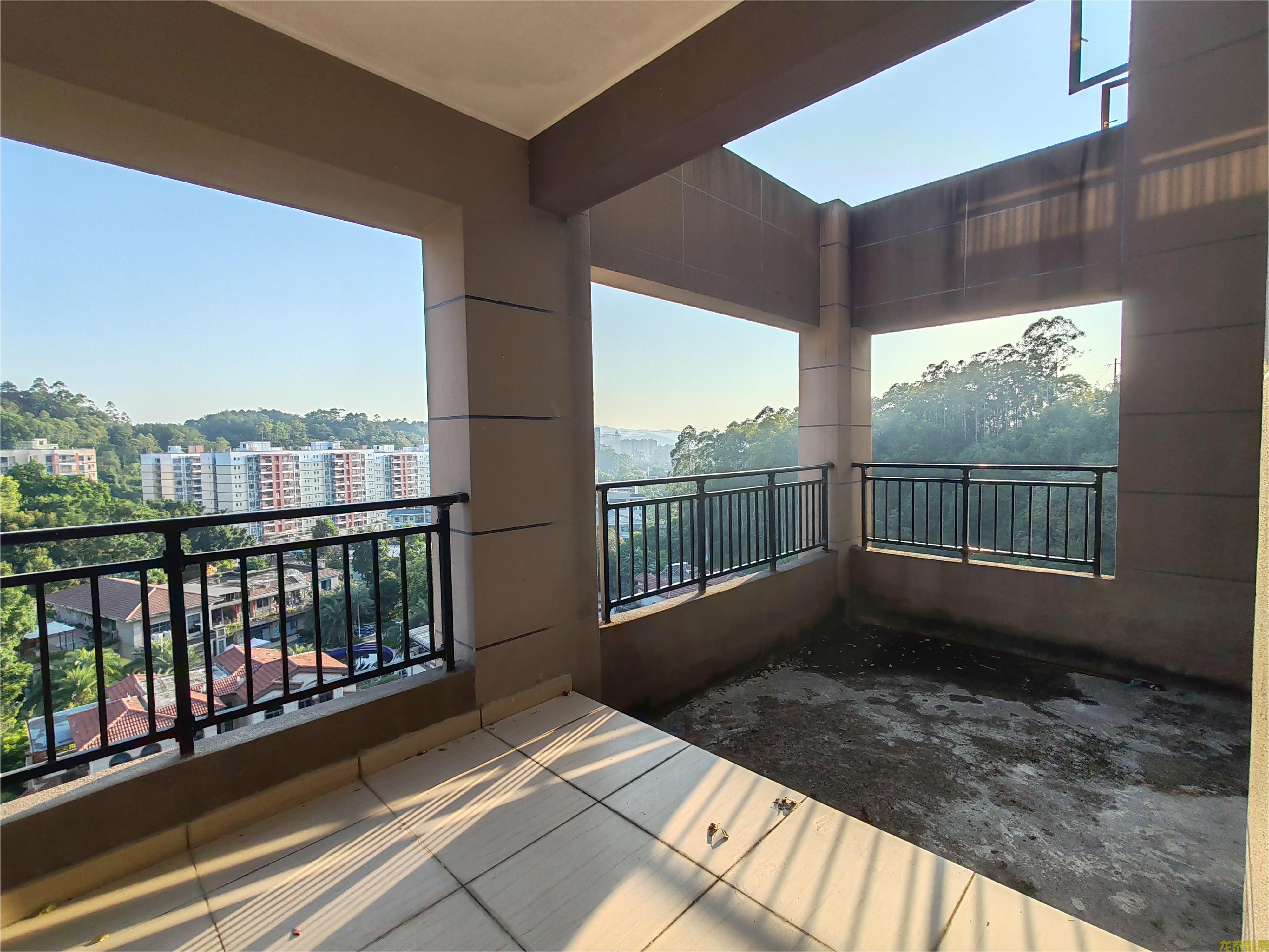 碧桂豪园南向大平层